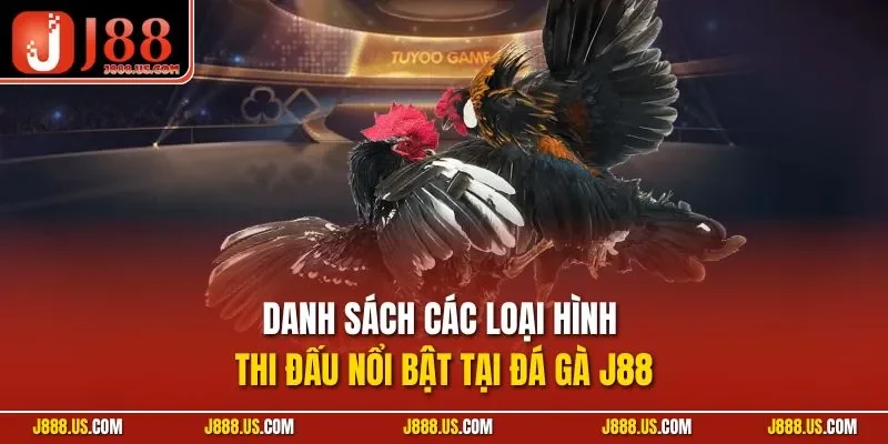 Danh sách các loại hình thi đấu nổi bật tại đá gà J88