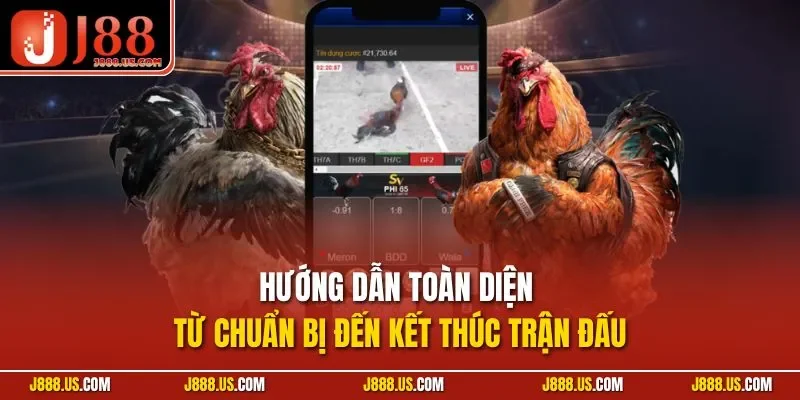 Hướng dẫn toàn diện từ chuẩn bị đến kết thúc trận đấu