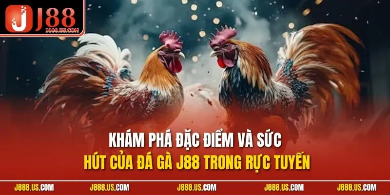 Khám phá đặc điểm và sức hút của đá gà J88 trong rực tuyến