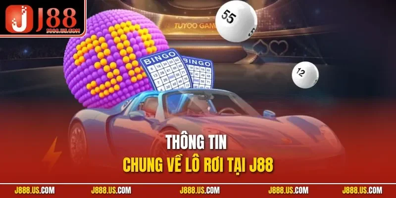 Thông tin chung về lô rơi tại J88